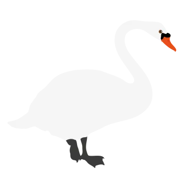 a silhouette of a white swan