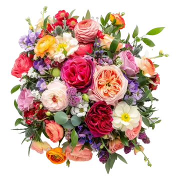 a bouquet of flowers on a white background