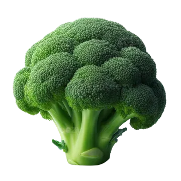 a close up of a piece of broccole