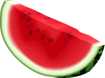 a slice of watermelon