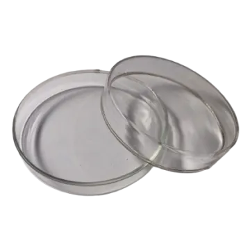 a pair of glass lids on a white background