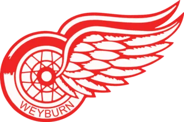 the detroit red wings logo