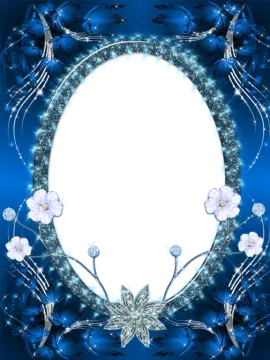 a blue floral frame with white flowers and butterflies