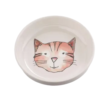 a white bowl with a cat face painted on it