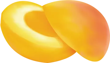 two peaches on a white background