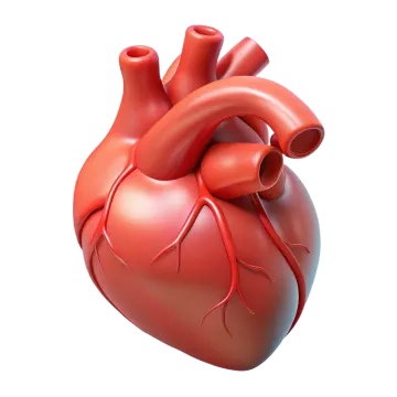 a red heart on a white background