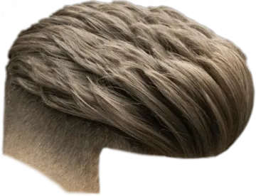 the back of a man's head with brown hair
