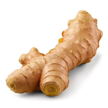 a close up of a ginger on a white background