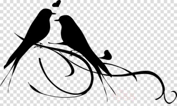 two birds sitting on a branch clipart