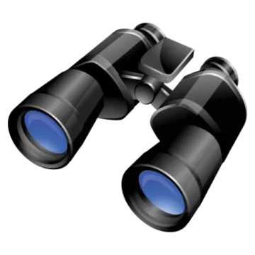 a pair of binoculars