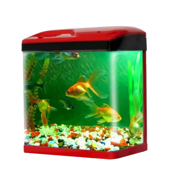 a fish tank filled with water and rocks