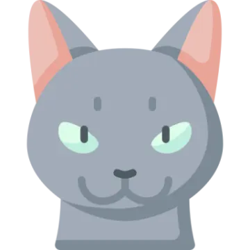 a gray cat with green eyes