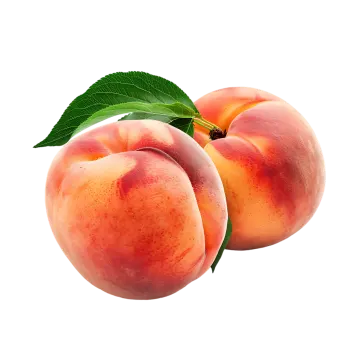 peaches on a white background