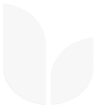 an image of a white leaf