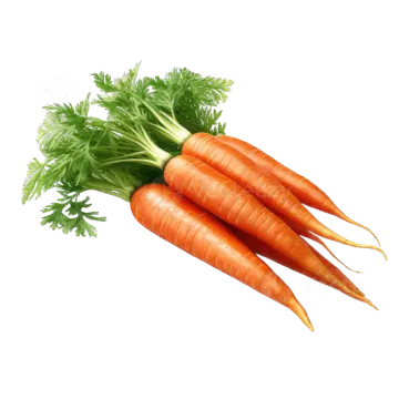 two carrots on a white background