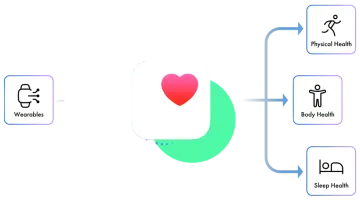 a diagram showing how the heart is connected to the body