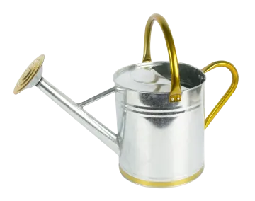 a metal watering can with a gold handle