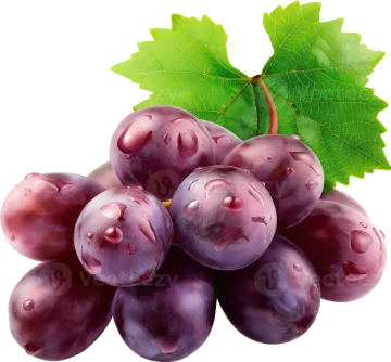 a bunch of purple grapes with green leaves