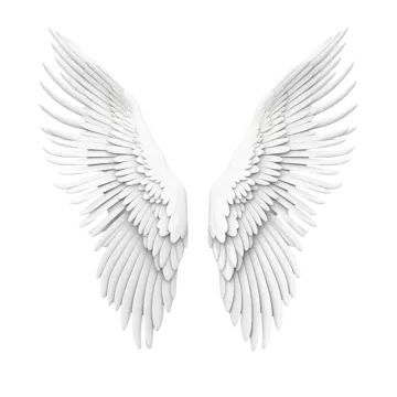 two white wings on a white background