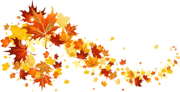 an image of a bunch of autumn leaves