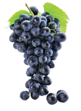 a bunch of black grapes with green leaves