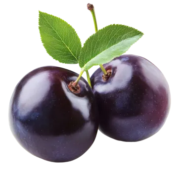 two plums with a green leaf on top