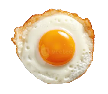 a fried egg on a piece of toasted bread