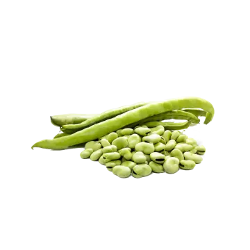 a pile of green beans on a white background