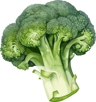 a piece of broccote