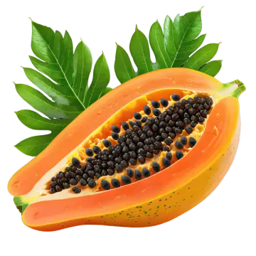a papa with black seeds and green leaves