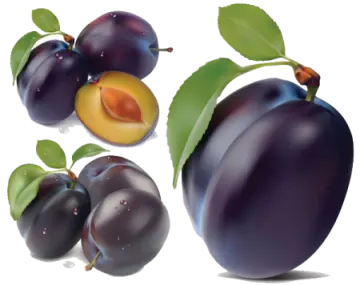 a group of plums with green leaves