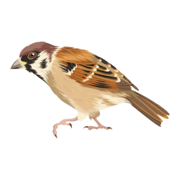 a bird sitting on top of a white surface