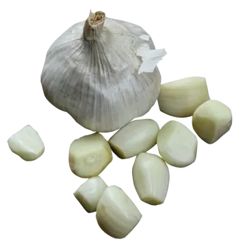 garlic and cloves