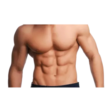 a male torso with no shirt