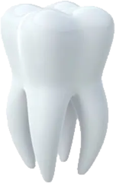 a tooth on a white background