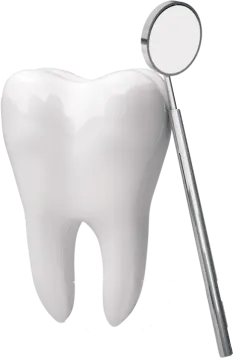 a tooth with a magni and a dental mirror