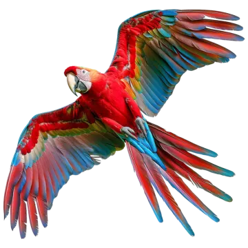 a red and green parrot flying through the air