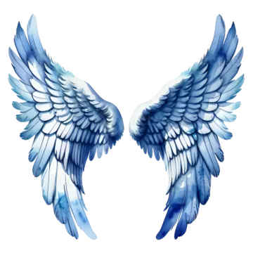 a pair of wings on a white background