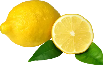 two lemons with leaves on a white background