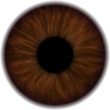 an image of a brown eye