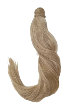 a piece of blonde hair on a white background
