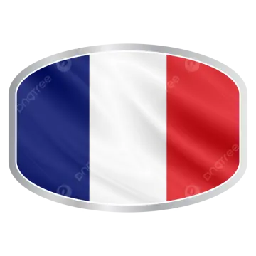 french flag sticker