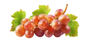 a bunch of grapes