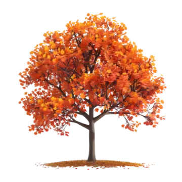 a tree with orange leaves on it