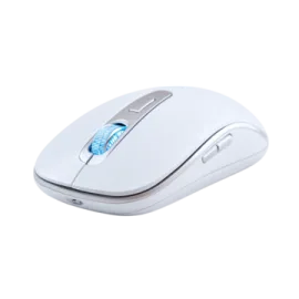 a computer mouse on a white background