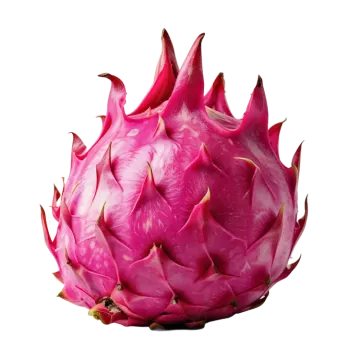 dragon fruit on white background