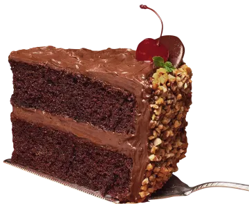 a piece of chocolate cake