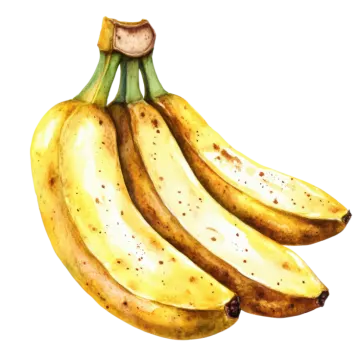 a bunch of bananas