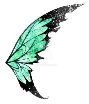 a green and black butterfly wing