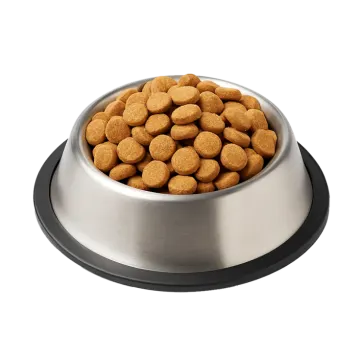 a bowl of dog food on a white background
